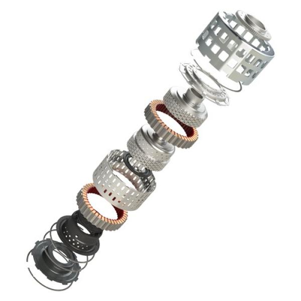 Dodson GR6 PROMAX 12 CLUTCH KIT (PRO DEALER ONLY)